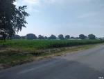 MLS# PA1260875
