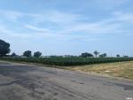 MLS# PA1260875